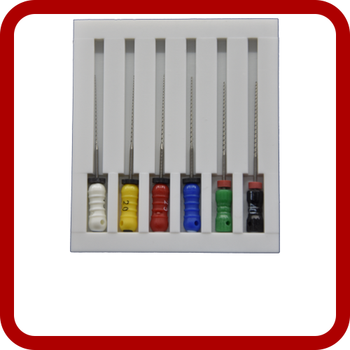 Endodoncija